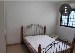 Blk 143 Petir Road (Bukit Panjang), HDB 3 Rooms #543277341